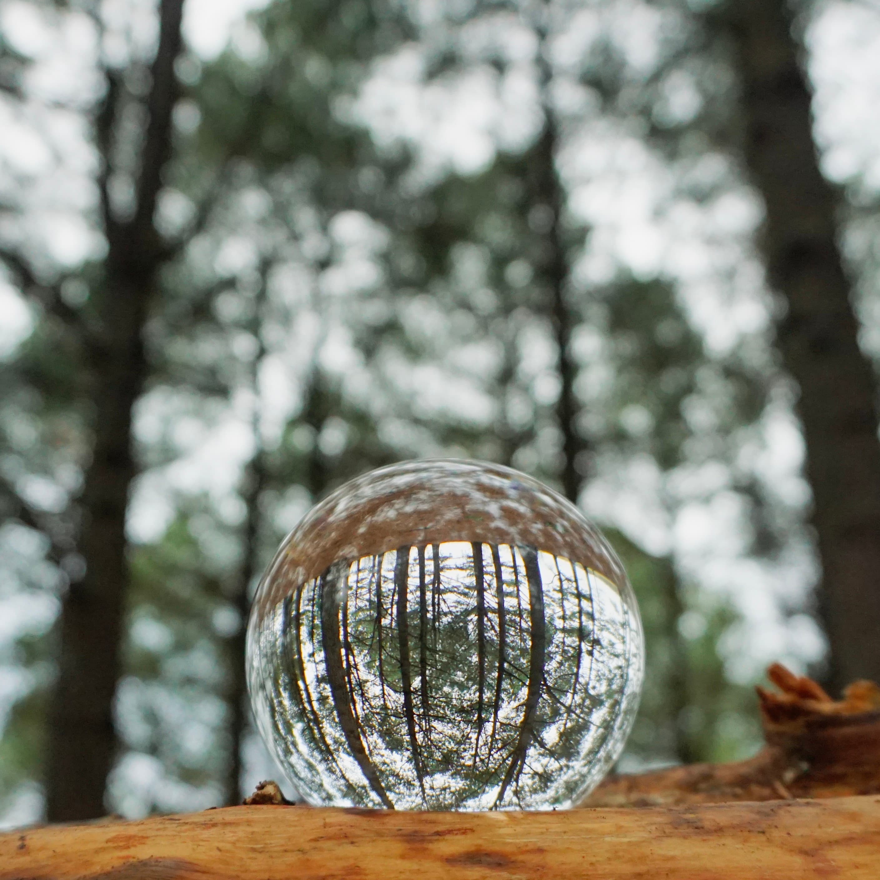 How to: Lensball Photography