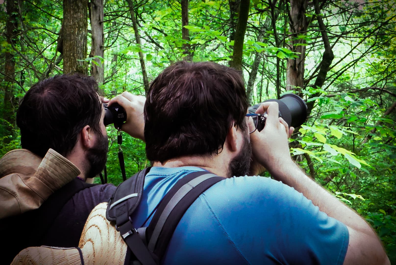 Lensrentals Review: Renting Gear for Wildlife Photography