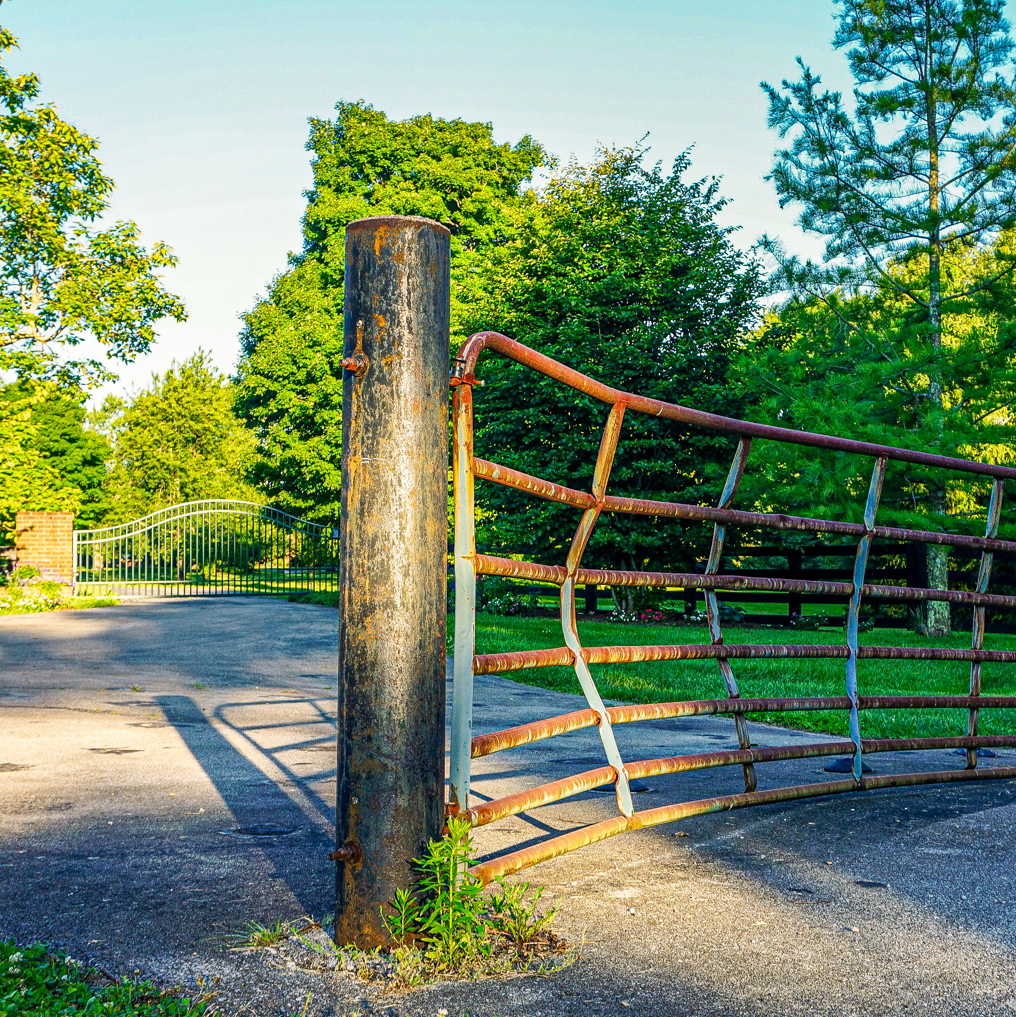 A rusted iron gate half-open in an overgrown pasture.