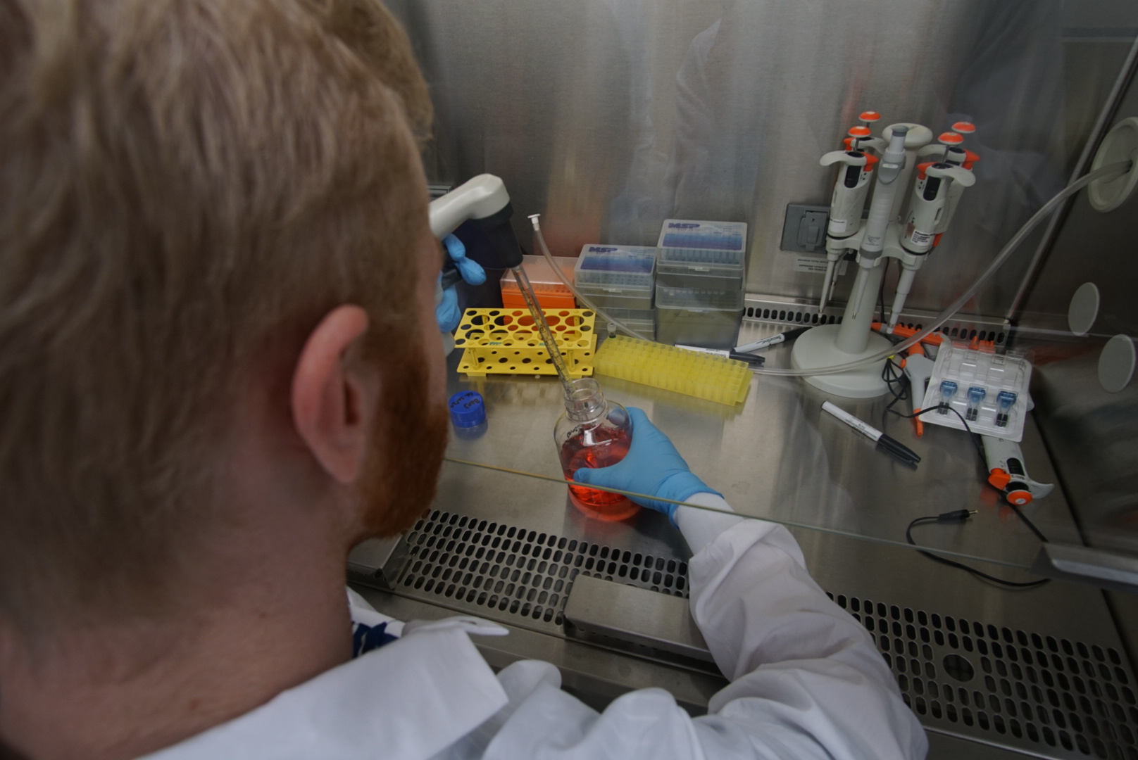 Christopher working at a biosafety cabinet, drawing solution into a serological pipette