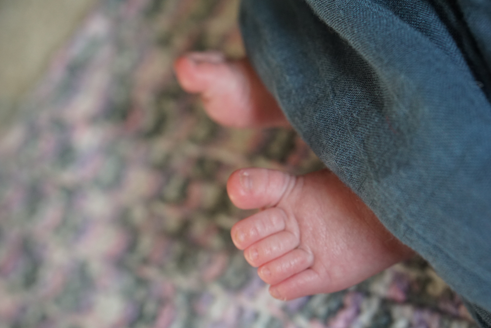 Close-up of newborn baby feet