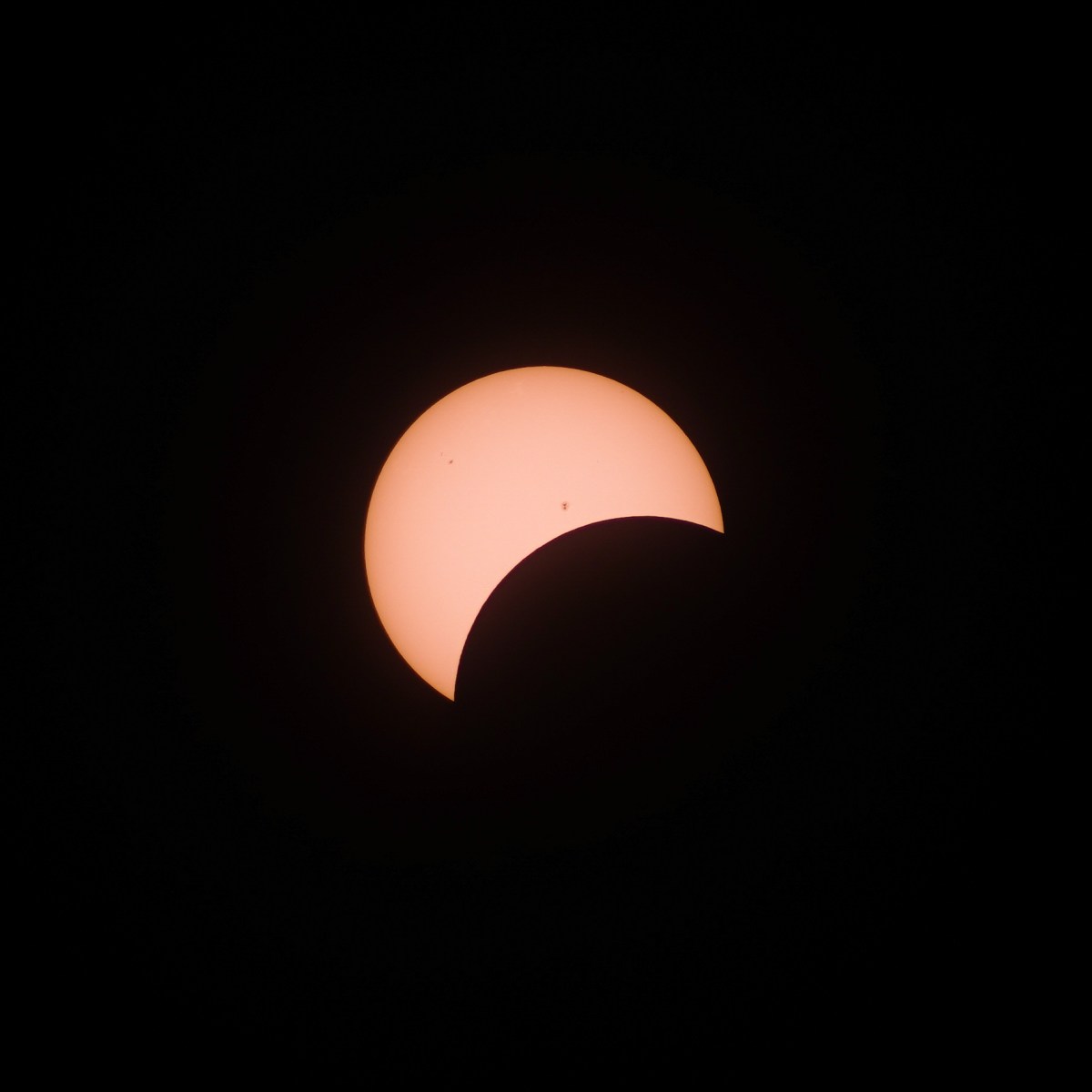 Partial solar eclipse through a solar filter