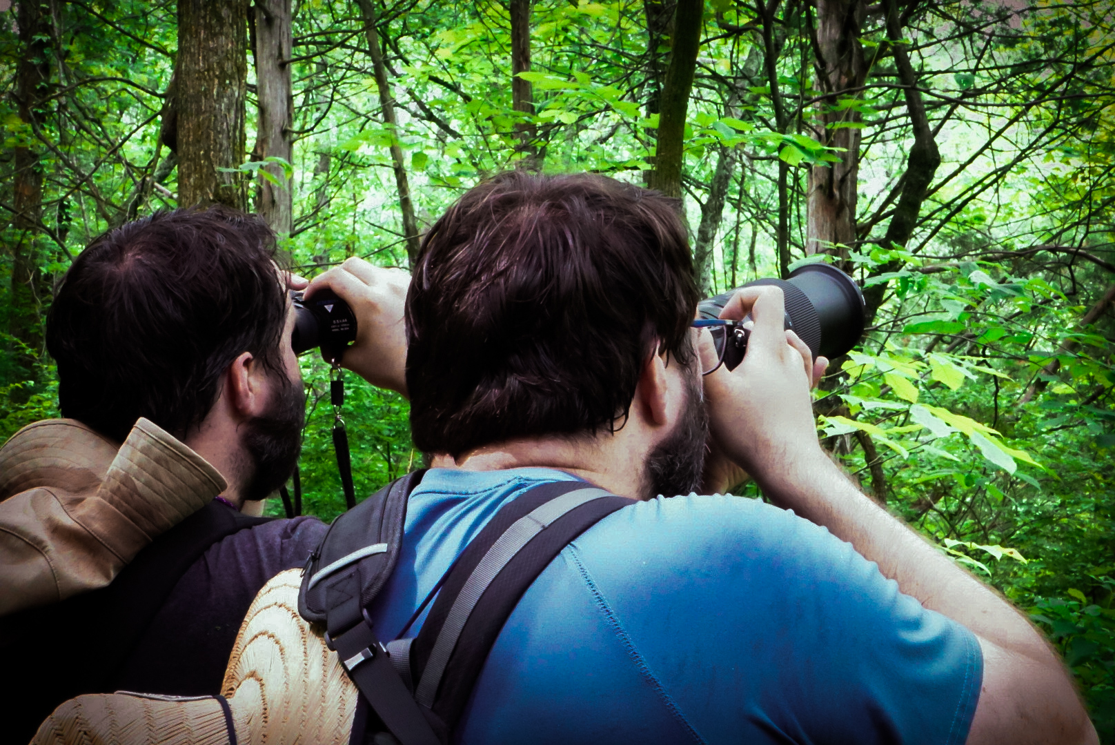 Telephoto lens in a forest setting for bird and wildlife photography