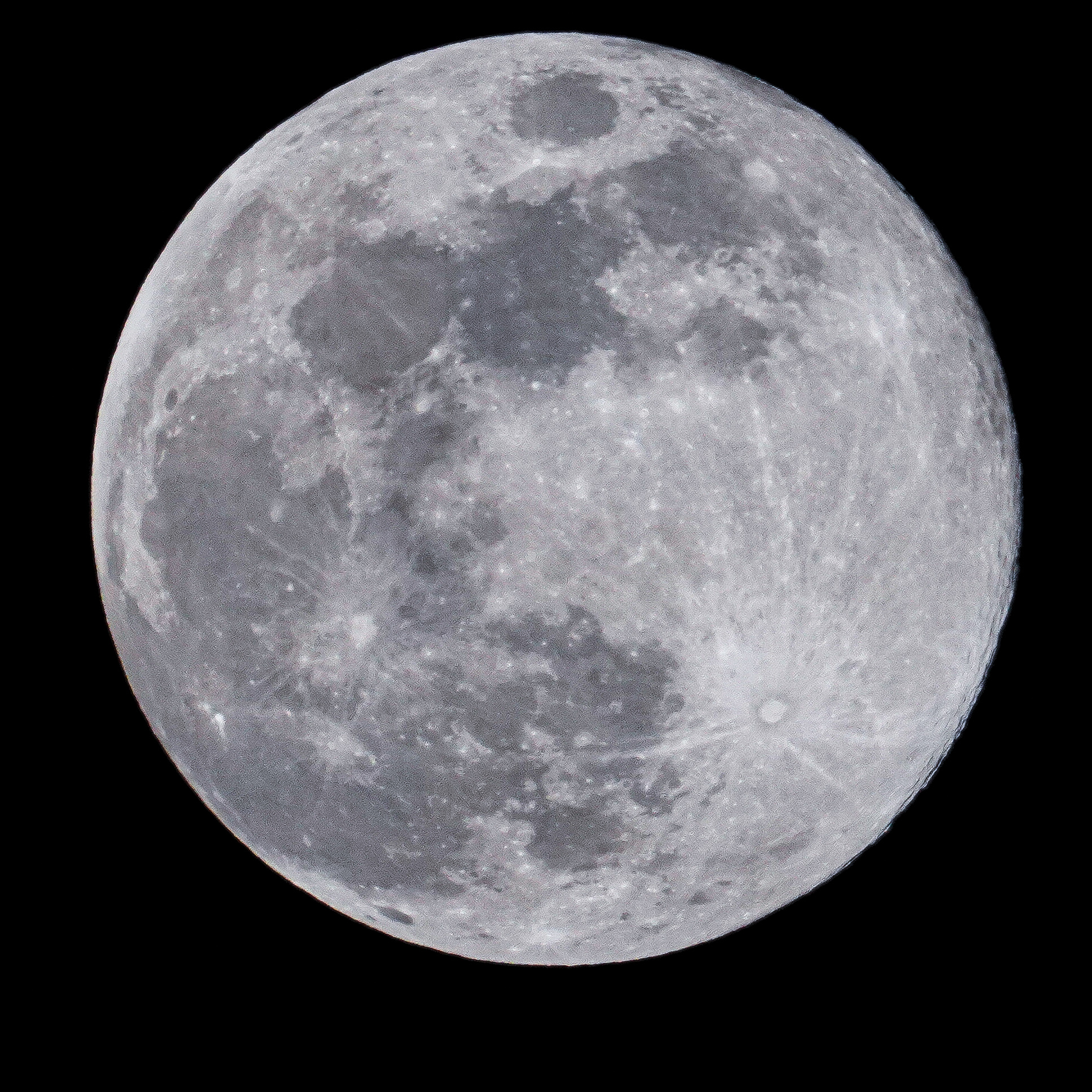 A near-full moon filling the frame, crisp crater detail and maria visible across the lunar surface against pure black.