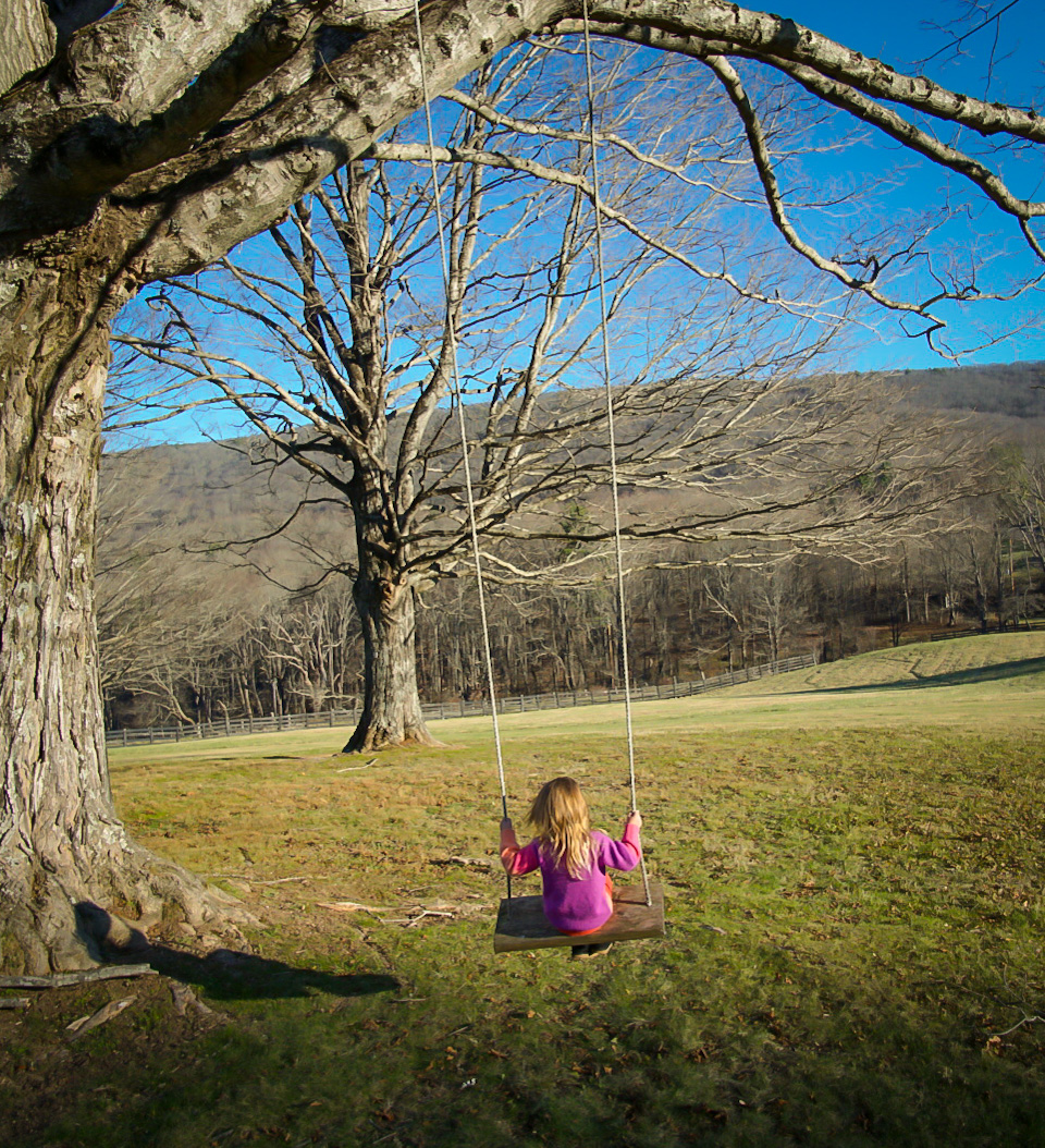 A young girl in a pink jacket swinging on a rope beneath a massive bare oak, mountain valley stretching behind her.